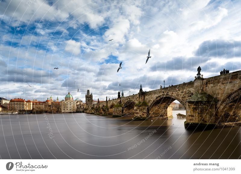 high achiever Sky Clouds Beautiful weather River Prague Town Church Bridge Tower Architecture Charles Bridge Bird Flock Flying Old Historic Unwavering Longing