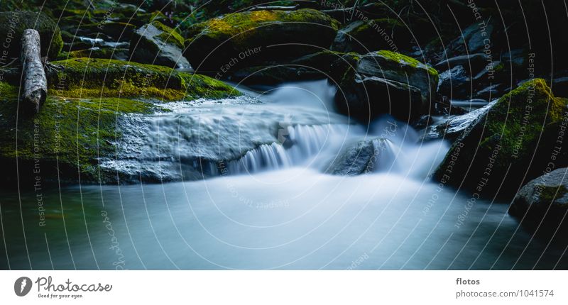 little niagara if =) Nature Water Autumn Moss Forest River bank Brook Fluid Fresh Wet Blue Yellow Green Black White Long exposure Colour photo Exterior shot