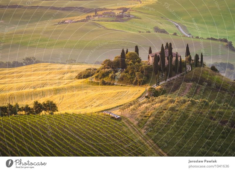 Tuscan house on the misty hills Summer House (Residential Structure) Garden Nature Landscape Sunrise Sunset Spring Autumn Fog Tree Meadow Field Hill Green