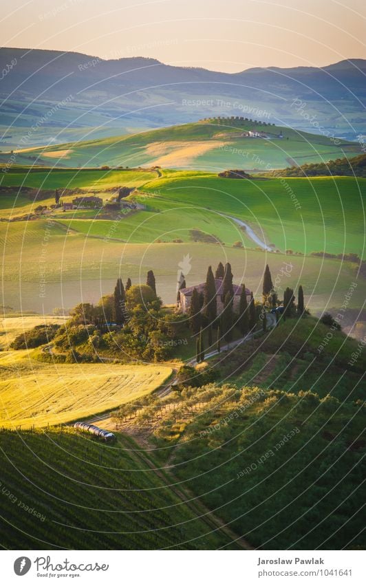 Tuscan house on the misty hills Calm Summer Sun House (Residential Structure) Environment Nature Landscape Plant Sky Clouds Tree Grass Meadow Hill Street