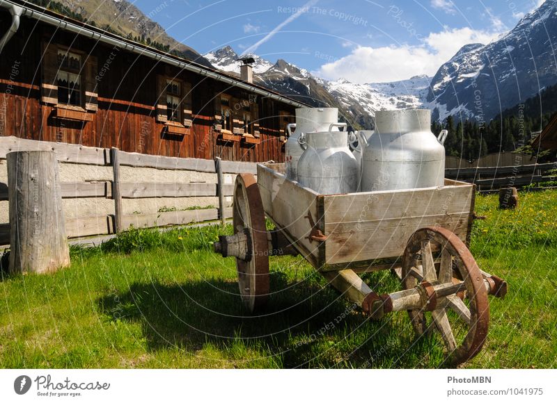 on the mountain pasture Dairy Products Organic produce Milk Vacation & Travel Tourism Trip Adventure Freedom Summer Summer vacation Mountain "Alpine pasture