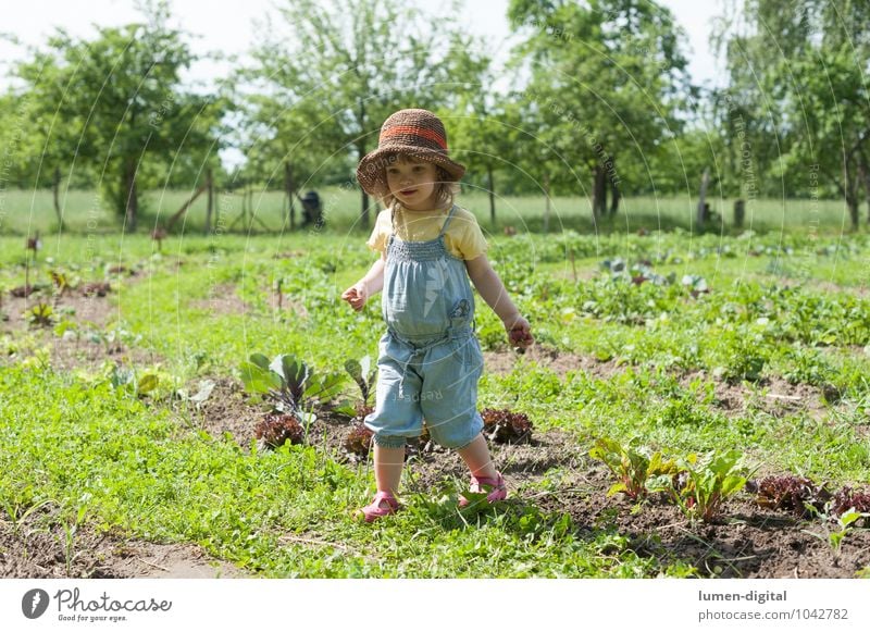 Girls in the field Vegetable Joy Summer Garden Child Gardening Toddler Tree Field Hat Laughter Extend Garden Bed (Horticulture) Harvest Vegetable bed