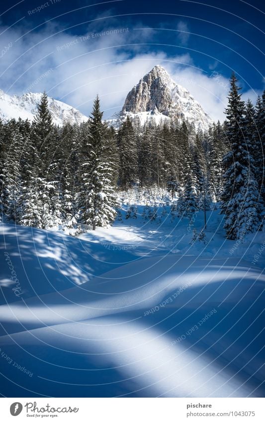 Admonter Kalbling Nature Landscape Winter Beautiful weather Snow Mountain Snowcapped peak Cold Adventure Austria Colour photo Exterior shot Deserted Day Light