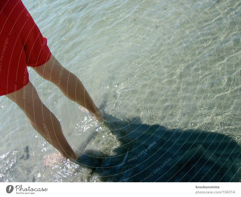 The long wait of David H. Ocean Man Red Swimming trunks Beach Vacation & Travel Beach vacation Lifeguard Guard Testing & Control Rescue Stand Medic Row Wait