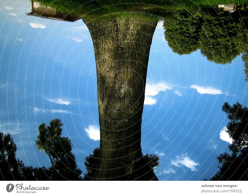 muddled Tree Bushes Clouds Grass House (Residential Structure) Go crazy Rotate Green pastures False Joy Summer Sky Blue Idyll Irritation