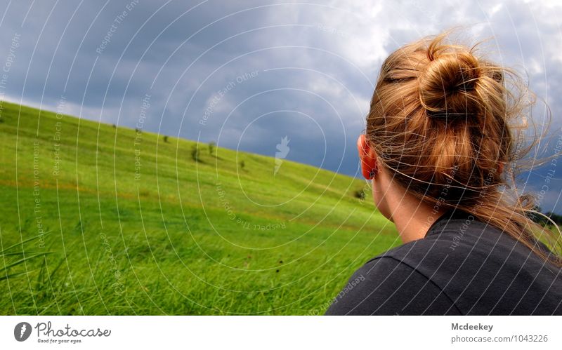 future outlook Human being Feminine Young woman Youth (Young adults) Head Hair and hairstyles Ear Back Neck Shoulder 1 18 - 30 years Adults Nature Landscape Sky