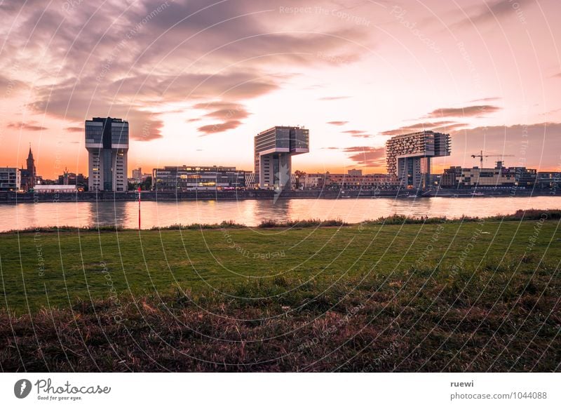 crane buildings Life Vacation & Travel Summer Sky Beautiful weather Meadow River bank Cologne Town High-rise Manmade structures Building Architecture