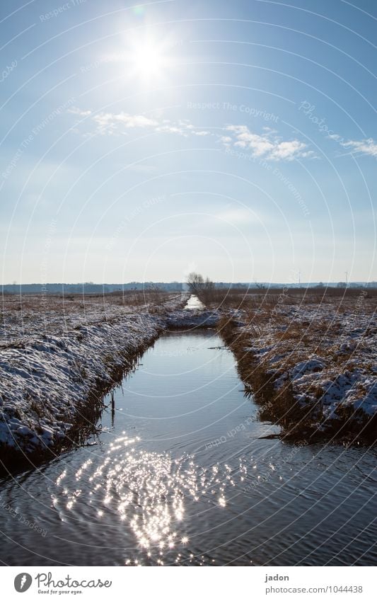 winter farewell. Environment Nature Landscape Water Sky Horizon Sun Spring Winter Beautiful weather Ice Frost Snow Grass Field Brook Infinity Cold Calm Idyll