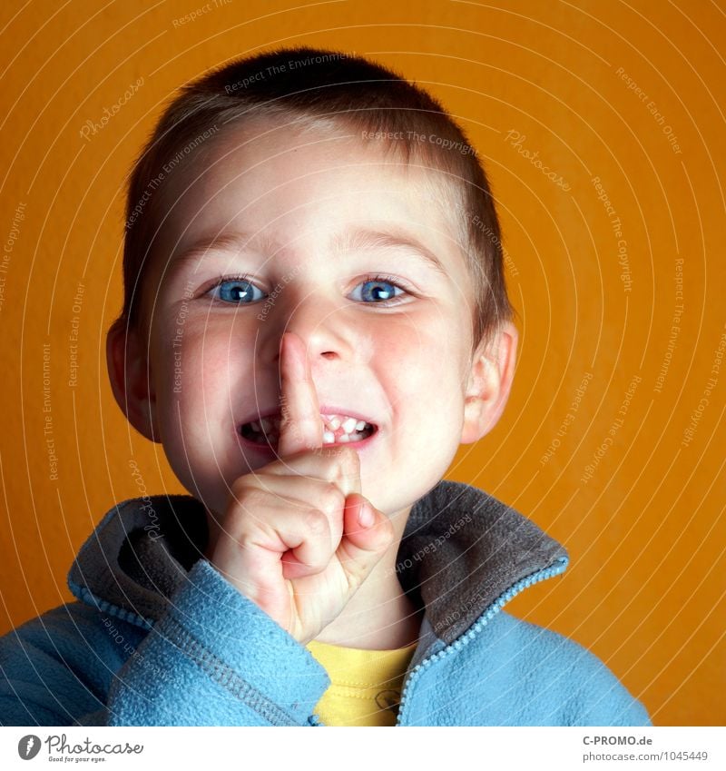 Boy with bright eyes holds fingers before mouth Child Boy (child) Head Eyes Mouth Fingers 1 Human being 1 - 3 years Toddler 3 - 8 years Infancy Sweater Blue