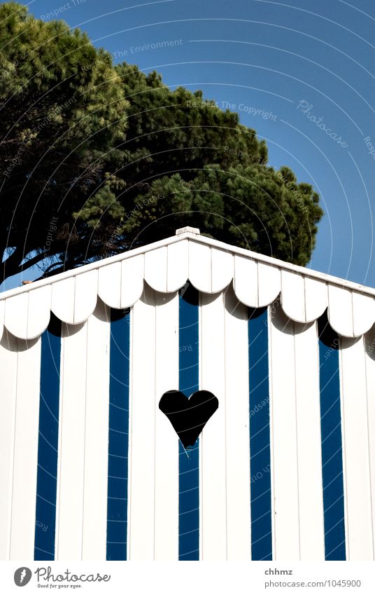 bathhouse Swimming & Bathing Tree Pine Stone pine Hut Roof Gable end Wood Small Blue Green White Heart Sky Summer vacation Changing room Wooden board Stripe