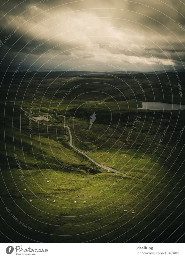 the meadows. Landscape Sky Clouds Spring Summer Autumn Weather Meadow Field Forest Hill Coast Bog Marsh Pond Lake Farm animal Sheep Herd Dark Fantastic Cold