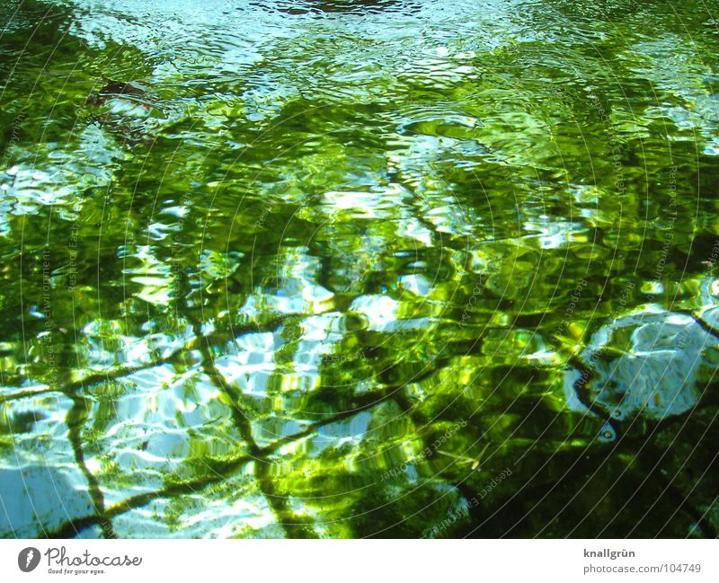 Algae green with water blue Green Undulating Dark green Light Reflection Blue Summer Water Tile Basin Ripple. light blue algae green