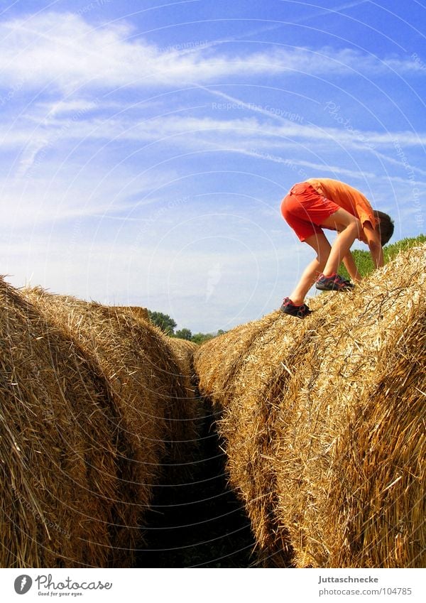 From the blue mountains... Hay bale Hay roll Coil Child Infancy Climbing Field Boy (child) Agriculture Summer Autumn Jump Dexterity Playing Playground To board