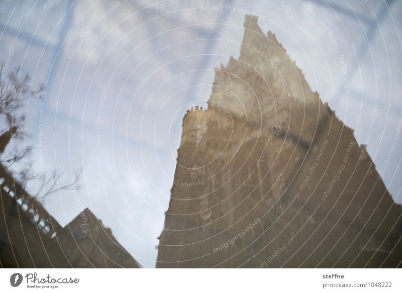 Around the World: Vienna Church Dome Religion and faith St. Stephen's Cathedral Puddle Reflection