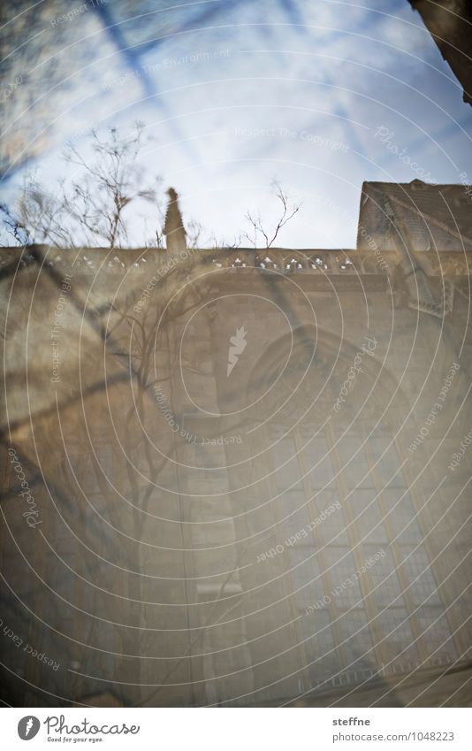 Church: Vienna Austria Dome Religion and faith Reflection Puddle Rain Gothic period Colour photo Exterior shot Pattern Copy Space top Copy Space bottom