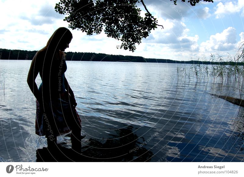 Shadow Beauty Lake Vacation & Travel Summer Clouds Woman Beautiful Silhouette Horizon Youth (Young adults) Tree Leaf Hölzerner Lake mud Sun Sky Coast Water