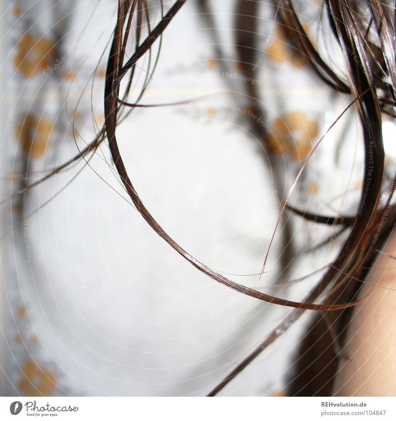 hair ensemble 7 Curly hair Disheveled Cold Hair and hairstyles Wellness Waves Brown Green Long-haired Laundered Wet Damp Hairdresser Swimming pool Haircut