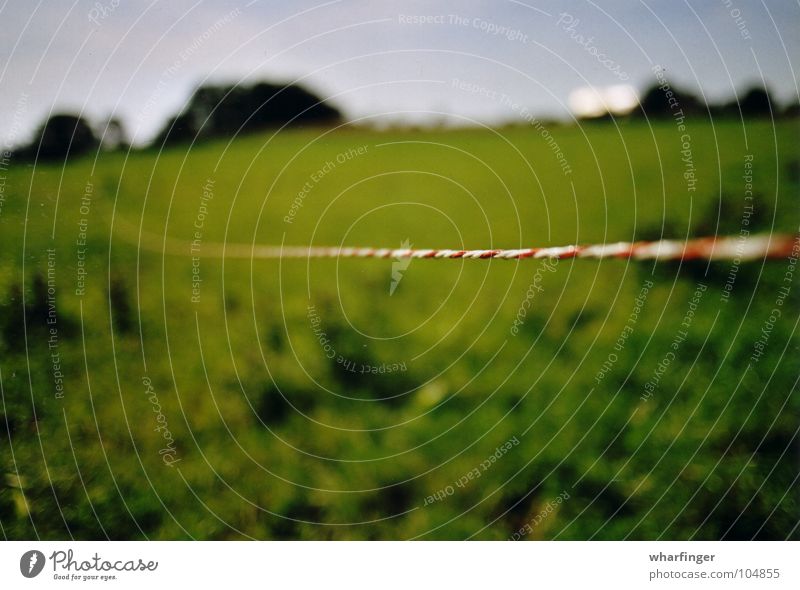 cables and landscapes Sösdala Extensive Sweden Long House (Residential Structure) Green Red White Reddish white Horizon Meadow Dividing line Border Fence