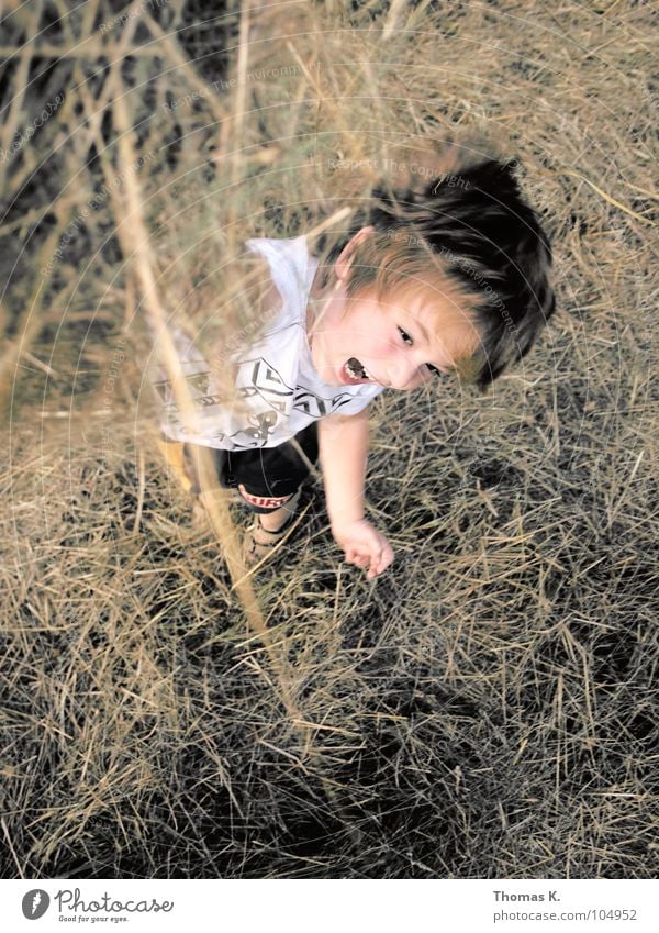 Battle of the grass. Child Boy (child) Playing Romp Throw in the air Grass Straw Dry Joy fun Tall Nature Mow the lawn scythed Movement Exterior shot