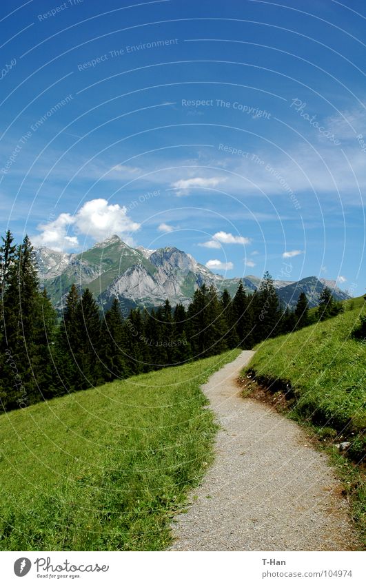 path Switzerland Mountain blue clouds lawn grass snow slope view alps