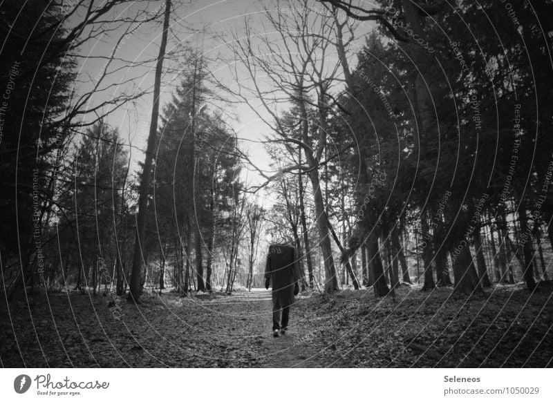 walking dead Trip Hiking Hallowe'en Human being Man Adults 1 Environment Nature Autumn Winter Forest Coat Going Creepy Promenade Black & white photo