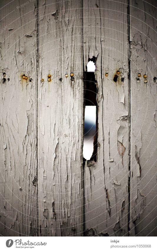 --I-- Deserted Wall (barrier) Wall (building) Fence Wooden fence Gap Hollow Old Broken Gloomy Curiosity Decline Colour photo Exterior shot Close-up Detail