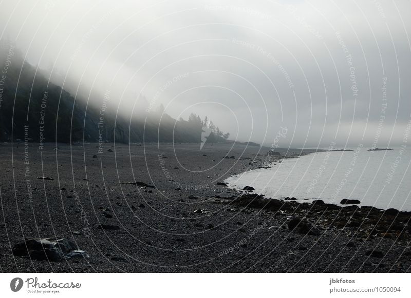 Doomsday mood with fog Environment Nature Landscape Elements Water Sky Clouds Horizon Spring Summer Autumn Storm Fog Rain Thunder and lightning Tree Hill Rock