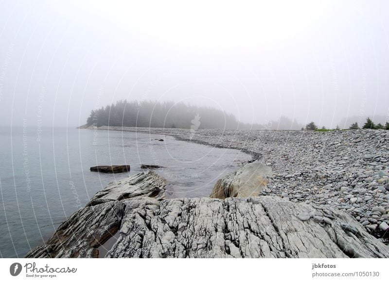 grey in grey Environment Nature Landscape Elements Water Sky Clouds Horizon Summer Autumn Climate Bad weather Fog Plant Tree Coast Lakeside Ocean Atlantic Ocean