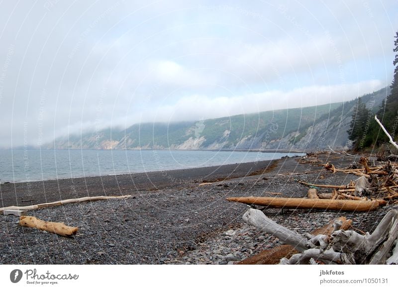 flotsam and jetsam Environment Nature Landscape Plant Elements Air Water Sky Summer Bad weather Fog Mountain Waves Coast Lakeside Bay Fjord Ocean Atlantic Ocean