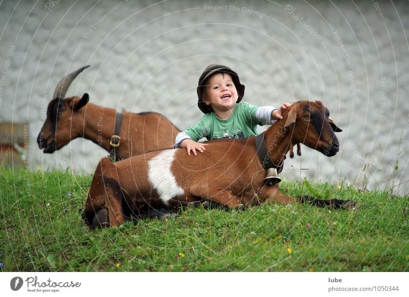 Goat Shepherd Jakob Child Infancy 1 Human being 3 - 8 years Hat Pet Cuddly Goats shepherd boy Joy peasant Farm Caress Petting zoo Herdsman goat Agriculture