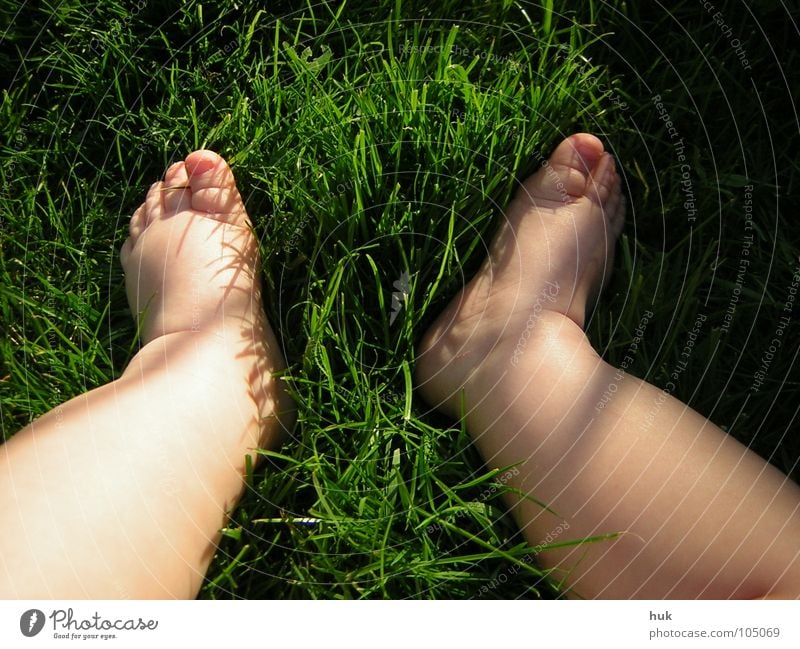 show me your little feet ... Meadow Grass Green Summer Dark Dwarf Baby Child 2 Small Toes Toddler Nature Garden Lawn Shadow Bright Legs Feet Skin Barefoot