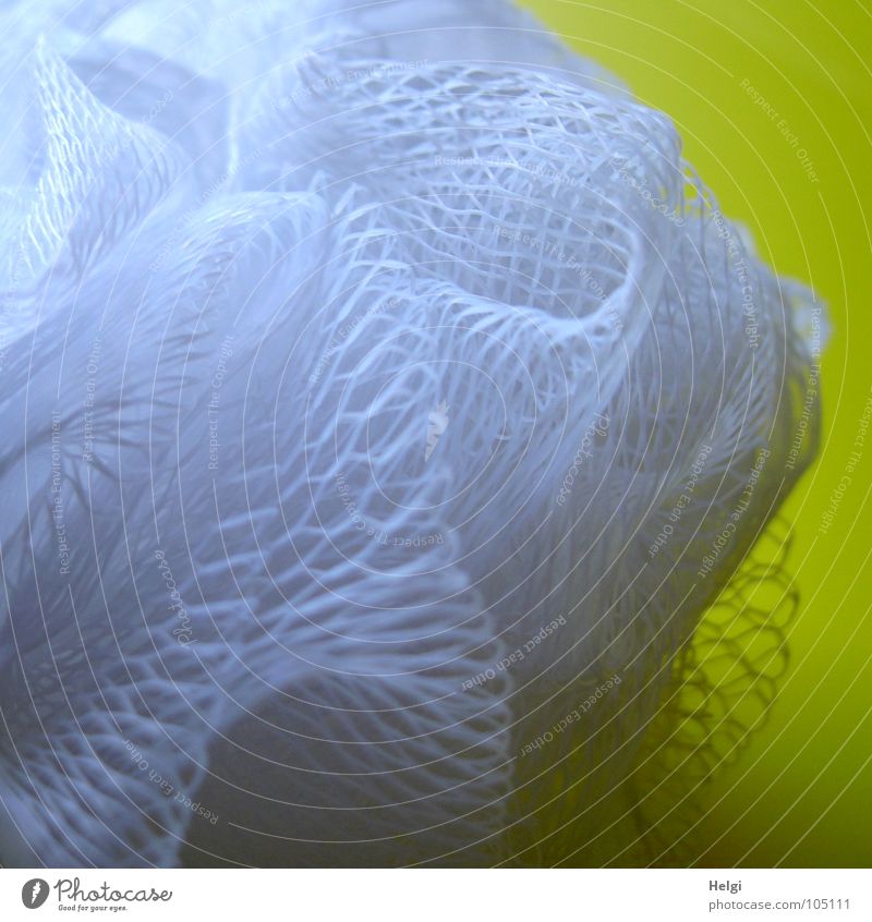 fuzzy-fluffy... Cleaning Cloth Perforated Hollow Tulle Interconnected White Wrinkles Frills Macro (Extreme close-up) Close-up Household Bathroom wash utensil