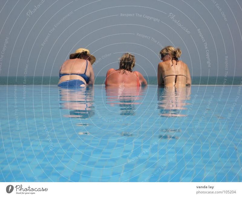 Three ladies from the grill Woman Old Sunbathing Brown To talk Together Ocean Swimming pool Summer Vacation & Travel Bikini Swimsuit Relaxation Wellness Coast