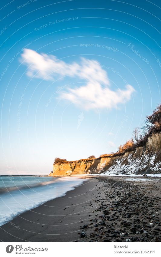 steep bank Nature Landscape Sand Sky Clouds Winter Weather Beautiful weather Snow Bushes Coast Beach Baltic Sea Blue Yellow Black White