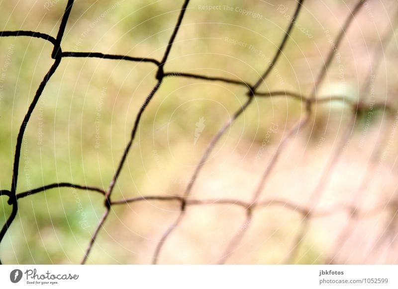 fence Steel Rust Cold Fence Border Boundary Restrict Block Close Wire netting fence Wire fence Colour photo Subdued colour Exterior shot Close-up Detail