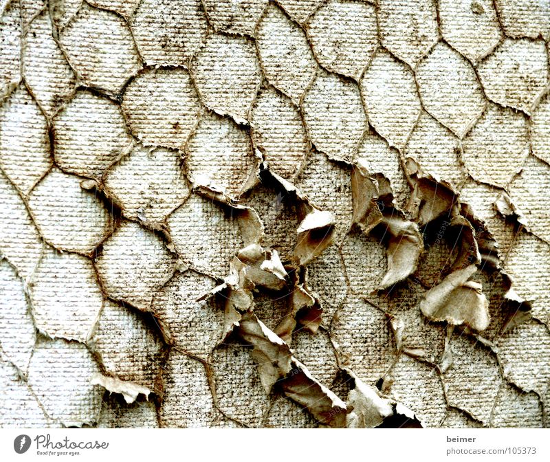 honeycombs Site trailer Brown Beige Hexagon Broken Background picture Craft (trade) Honey-comb Mask