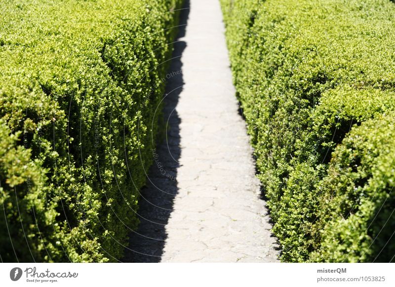 Passage I Art Nature Garden Park Esthetic Symmetry Hedge Green Corridor Lanes & trails Colour photo Subdued colour Exterior shot Detail Experimental Abstract