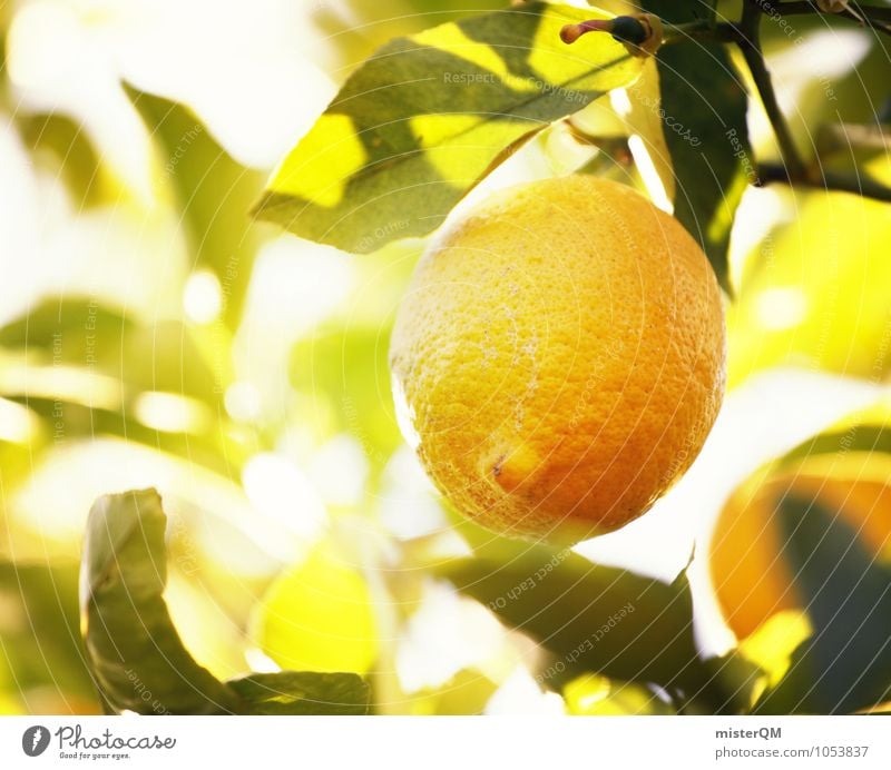 Vitamin C Forest II Art Esthetic Lemon Lemon juice Lemon tree Lemon yellow Lemon peel Lemon leaf Healthy Eating Ecological Nature Sour Delicious Fresh Mature