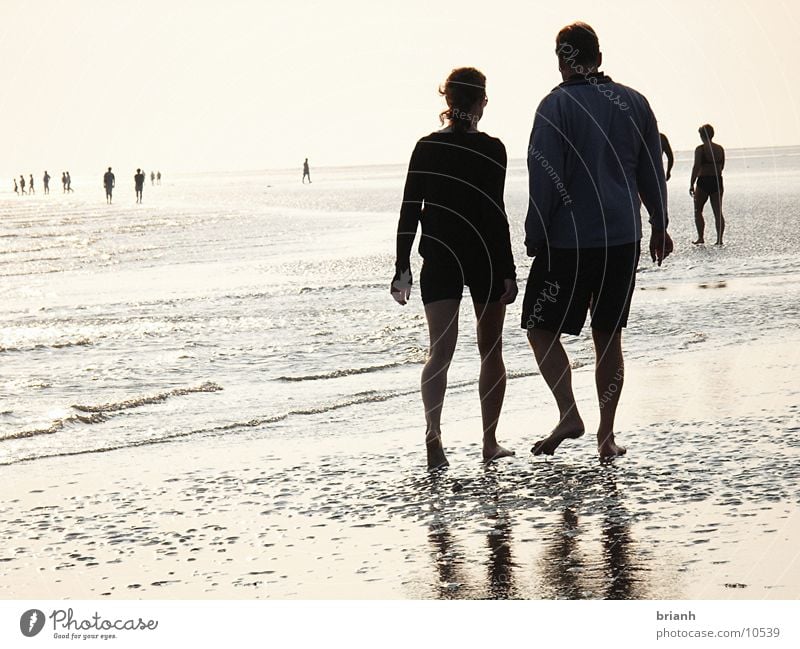 Hiking in the mudflats Summer Impression Mud flats Human being