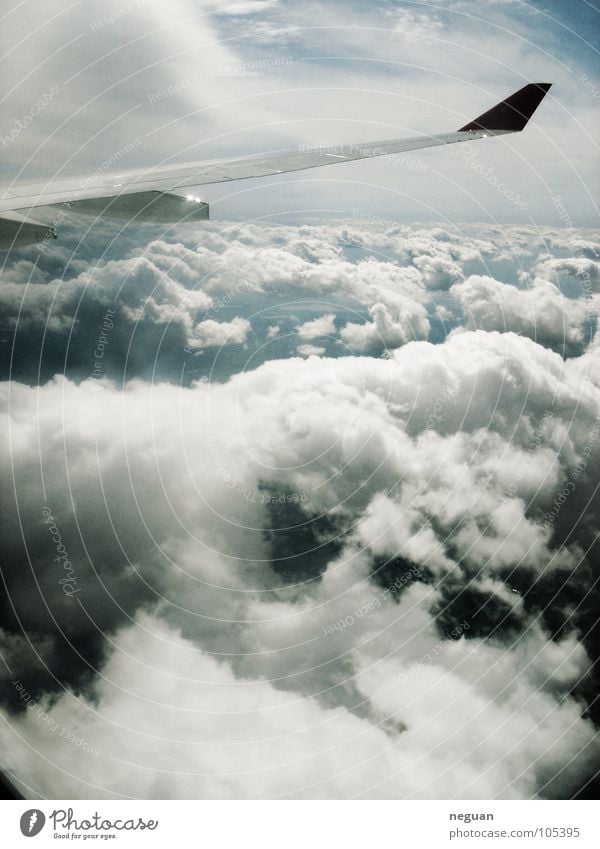 above the clouds 2 Airplane Machinery Clouds Cold White Aloof Aviation Vacation & Travel Wing Metal Earth Snow