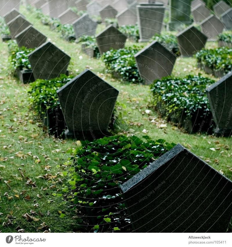 R.I.P. Death Cemetery Tombstone Military cemetery Soldier Second World War Bury Gloomy Grave Landmark Monument Grief Distress Peace army cemetery pentagon