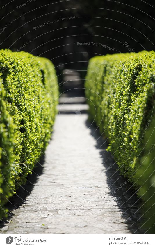 Passage II Art Esthetic Lanes & trails Hedge Green Foliage plant Corridor Park Garden Tailored Nature Trimmed Colour photo Subdued colour Exterior shot