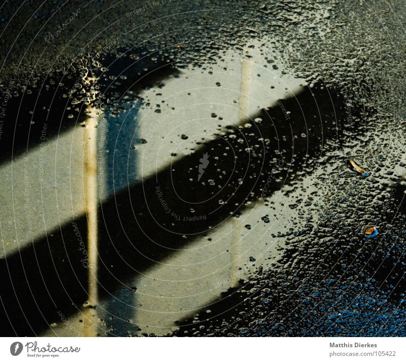 autumn Puddle Wet Reflection Mirror Building Government Administration building Wall (building) Facade House (Residential Structure) Manmade structures