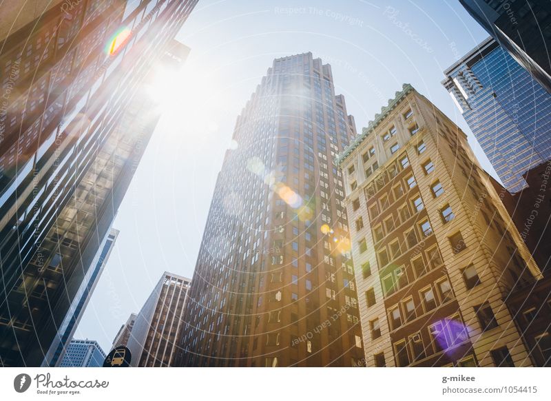 New York City American Flag Town High-rise Building Gigantic Large Modern Warmth Colour photo Exterior shot Day Back-light Deep depth of field Worm's-eye view