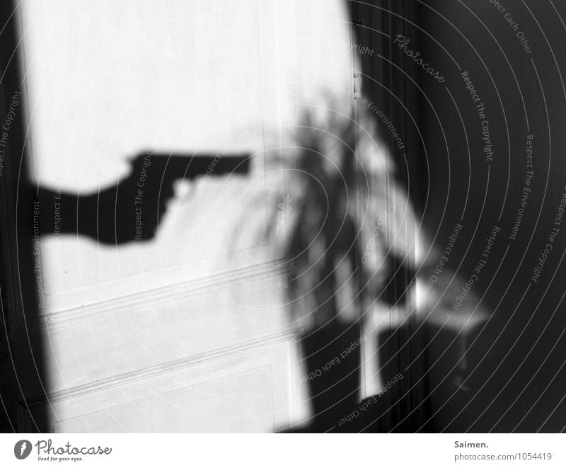 the gardener Sign Threat Dangerous Contempt Anger Aggravation Grouchy Fear Handgun Weapon Plant Black & white photo Interior shot Copy Space top Day Light