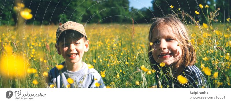 meadow children Meadow Green Child Flower Summer Panorama (View) Landscape format Girl Laughter Sun Joy Boy (child) 5 years Large Panorama (Format)