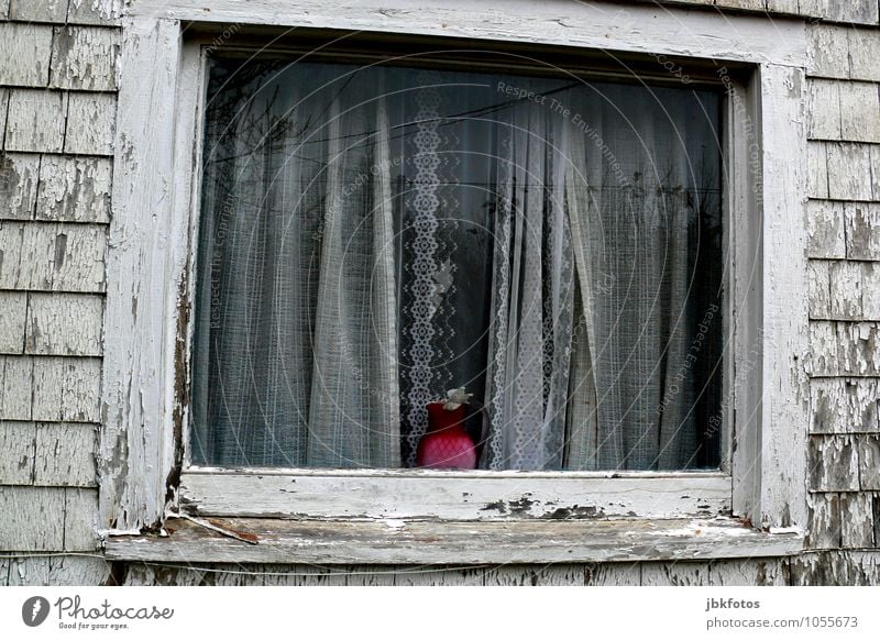 poverty report Deserted House (Residential Structure) Detached house Dream house Hut Ruin Manmade structures Building Architecture Wall (barrier)