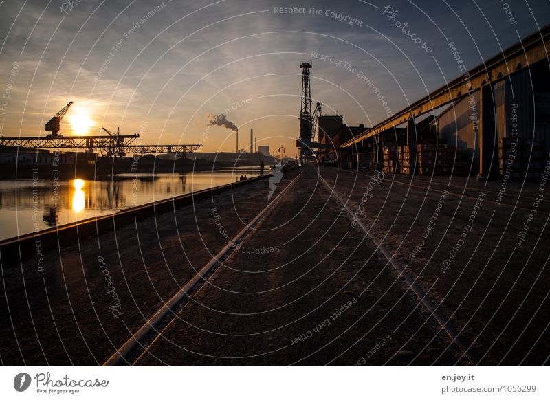 Harbour basin of the Rhine in the evening light harbour basins Industry Industrial Photography track Railway tracks Crane Dockside crane Evening Sunset