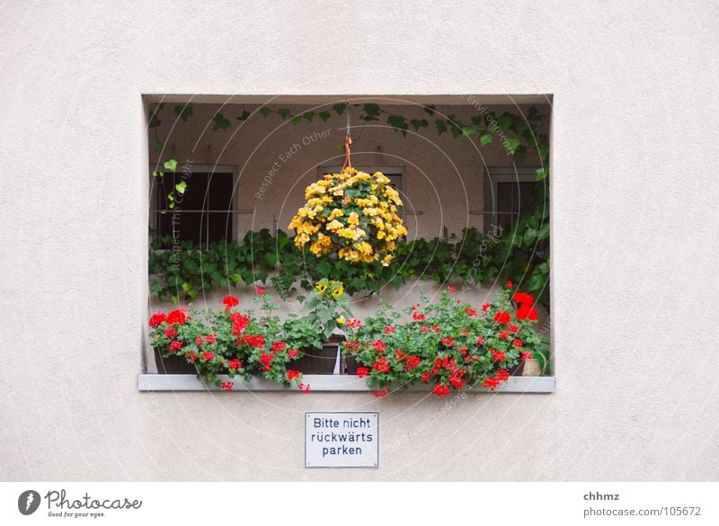 Balconies II Loggia Balcony Vacation & Travel Flowerpot Window Shadowy existence Cactus Handrail Looking Facade Flat (apartment) Plaster Geranium Traffic light