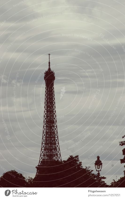 Paris Views 5 Sightseeing City trip Capital city Skyline Overpopulated Manmade structures Building Architecture Tourist Attraction Landmark Eiffel Tower